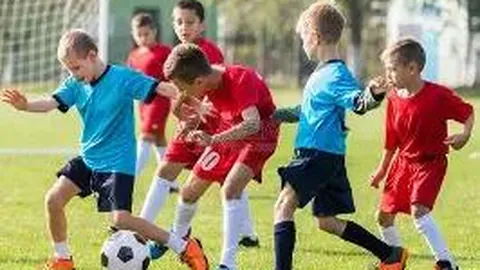 《朱骏警示：乙级队认知差距明显，职业足球之路需谨慎避免无序军备竞赛》